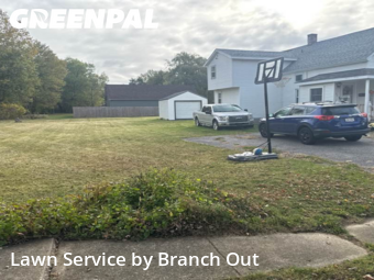 Yard Cutting nearby Lancaster, NY, 