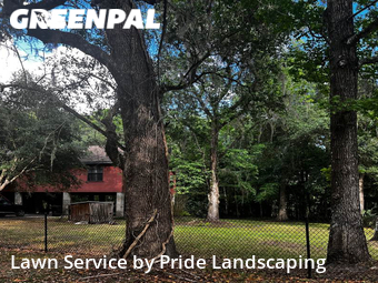 Grass Cutting nearby Brooksville, FL, 
