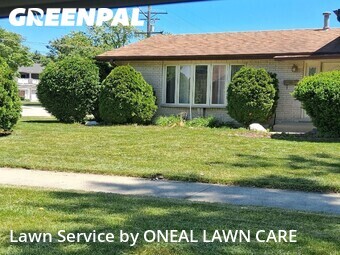 Yard Cutting nearby Des Plaines, IL, 