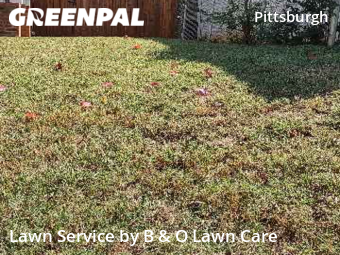 Lawn Mow nearby Atlanta, GA, 