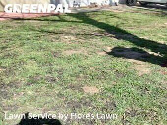 Grass Cut nearby Lancaster, CA, 