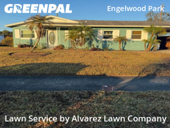 Lawn Carein Orlando,32807,Grass Cut by Alvarez Lawn Company, work completed in Feb , 2026