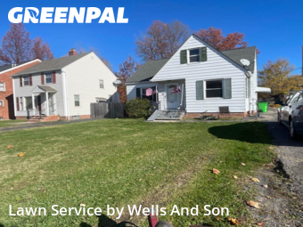 Weed Trimming in Euclid, 44117, Landscaping Maintenance by Wells And Son, work completed in Dec , 2025