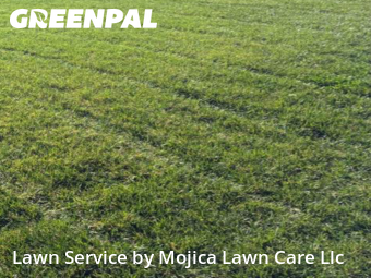 Lawn mowed in Roseville, 95747