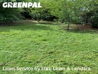 Grass Cutting nearby Olive Branch, MS, 