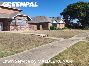 Yard Care Services in Allen, 75002, Yard Grooming by MALDEZ RONAN, work completed in Nov , 2025