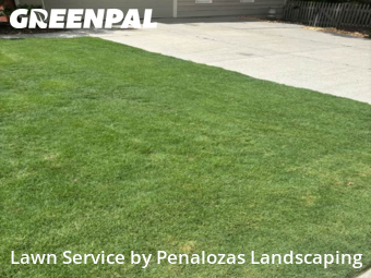Lawn Care Service nearby Lawrenceville, GA, 