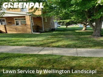 Yard Cutting nearby Erie, PA, 