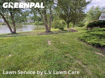 Grass Cut nearby Chantilly, VA, 