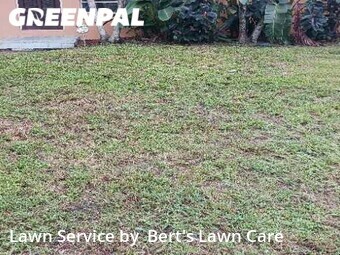 Lawn Mowing Service nearby Fort Lauderdale, FL, 