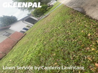 Yard Mowing nearby Cooper City, FL, 