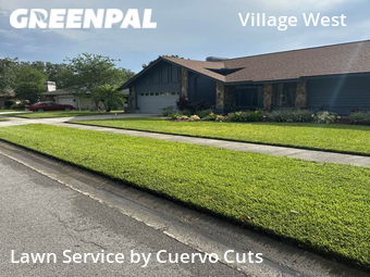 Lawn Mowing nearby Tampa, FL, 