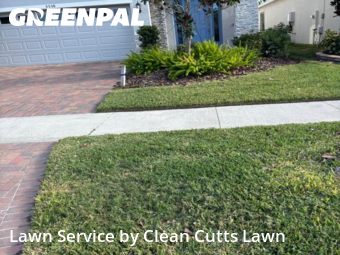 Lawn mowed in Apollo Beach, 33572