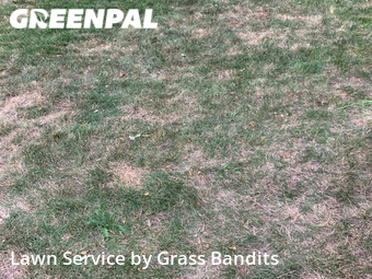 Grass Cut nearby Billings, MT, 