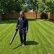 Hire trusted vendor Ironbark
