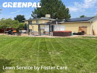 Lawn Cut nearby Thornton, CO, 