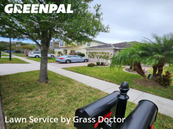 Grass Cut nearby Orlando, FL, 