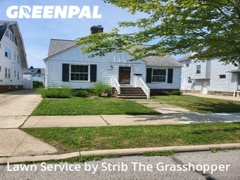 Lawn Mowin Lakewood,44107,Lawn Service by Strib The Grasshopper, work completed in Nov , 2025