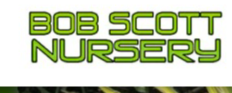 Best Nursery in Norman Oklahoma 1