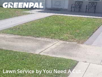 Work completed by grass-care-professionals-in-Hollywood-CA