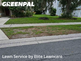 Lawn Cut nearby Tampa, FL, 