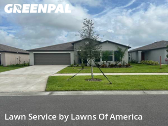Yard Cutting nearby Wimauma, FL, 