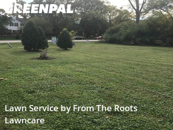 Lawn Cutting nearby Wheaton, IL, 