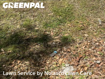 Lawn Cut nearby Soddy Daisy, TN, 