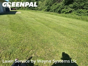Grass Cut nearby Columbia, MO, 