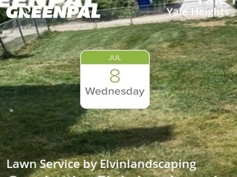 Landscaping Companies In Baltimore,21229,Landscaping Cleanup by Elvinlandscaping, work completed in Jul , 2026