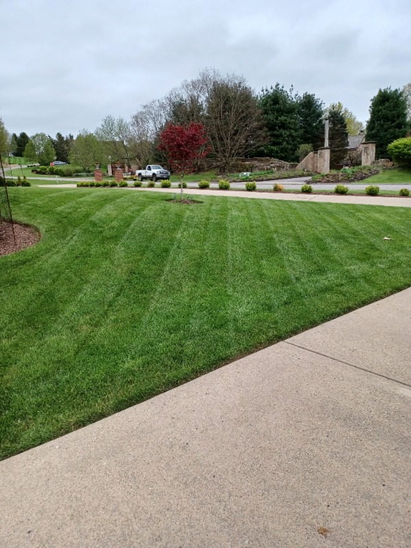 Yard mowing company in New Kensington, PA, 15068