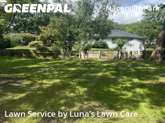 Yard Cutting nearby Naperville, IL, 