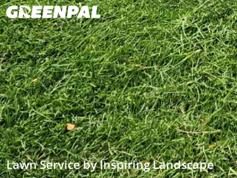 Lawn Servicein Centennial,80015,Lawn Cut by Inspiring Landscape, work completed in Jan , 2026