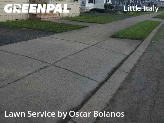 Lawn Care nearby Endicott, NY, 