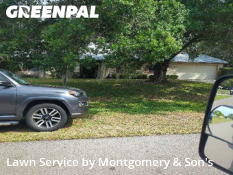 Lawn Mowing Service nearby Mulberry, FL, 