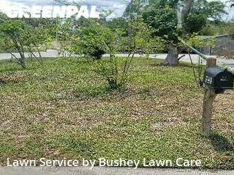 Lawn Cut nearby Venice, FL, 
