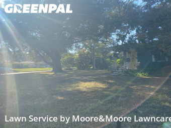 Lawn Cut nearby St. Petersburg, FL, 