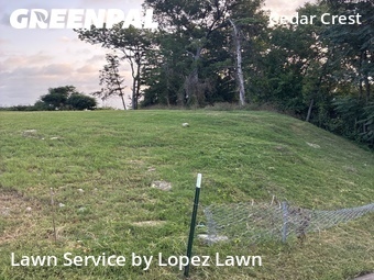 Grass Cut nearby Dallas, TX, 