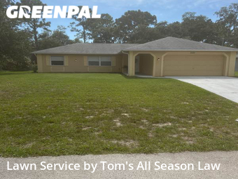 Grass Cutting nearby Spring Hill, FL, 