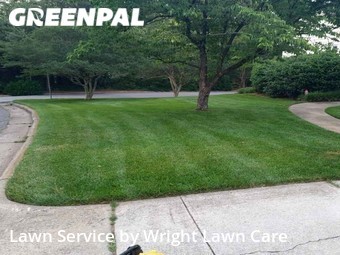 Grass Cutting nearby Raleigh, NC, 