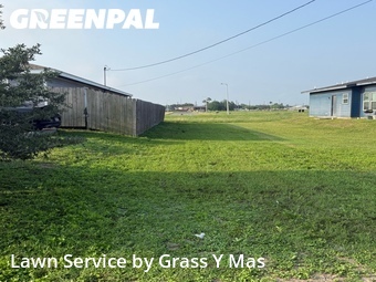 Grass Cut nearby Harlingen, TX, 
