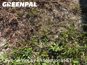 Lawn Mowing Service nearby Poinciana, FL, 