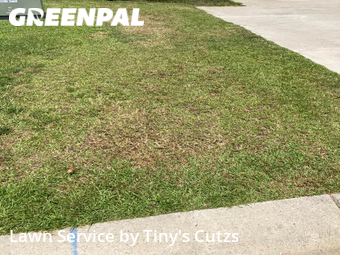 Grass Cutting nearby Valdosta, GA, 