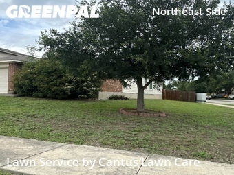 Lawn Service nearby Converse, TX, 