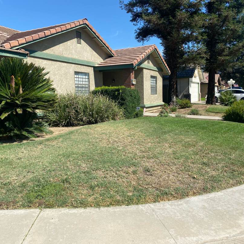 affordable-landscaping-maintenance-services-in in Tulare, CA