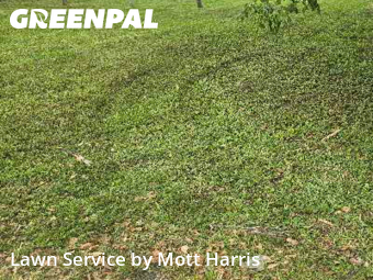 Lawn Service nearby Plantation, FL, 