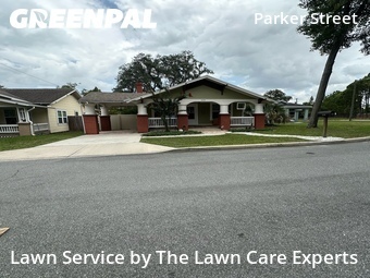 Landscaping Cleanup In Lakeland,33801,Landscaping Cleanup by The Lawn Care Experts, work completed in Jul , 2026