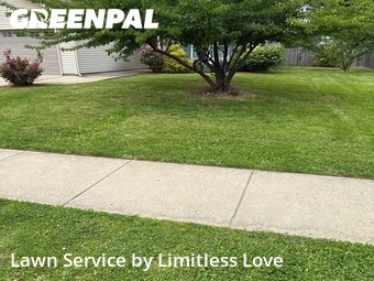 Lawn Cut nearby Lafayette, IN, 
