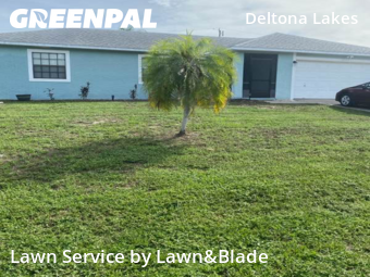 Grass Cutting nearby Deltona, FL, 