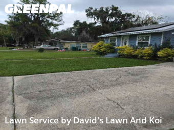 Weed Trimming in Eustis, 32726, Yard Care Services by David's Lawn And Koi, work completed in Dec , 2025